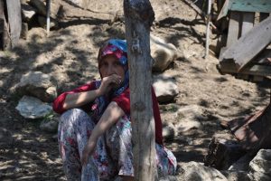Bursa'da merada otlayan koyunlar telef oldu