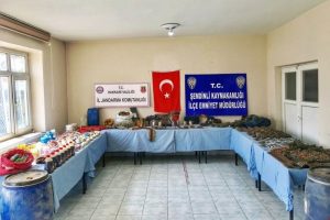 Hakkari'de &ccedil;ok sayıda silah ve m&uuml;himmat ele ge&ccedil;irildi