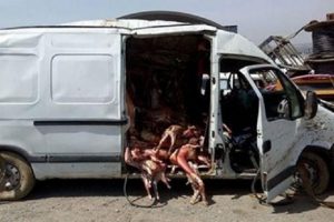 Kaza yapan minib&uuml;sten ka&ccedil;ak et &ccedil;ıktı