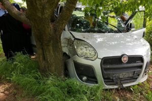 Bursa'da piknik yolunda kaza: 1 &ouml;l&uuml;, 3 yaralı