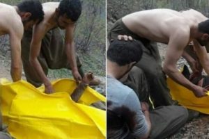 Ter&ouml;ristlerin cesetlerini ter&ouml;ristler topladı