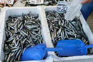 Av yasağı balık fiyatlarını y&uuml;kseltmedi