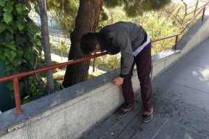 Bonzai i&ccedil;en gencin ibretlik g&ouml;r&uuml;nt&uuml;s&uuml;