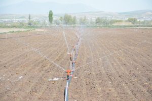 Şeker pancarı ekim sezonu başladı