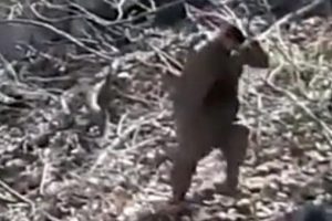 PKK'nın s&ouml;zde g&uuml;&ccedil;l&uuml; olduğu b&ouml;lgede b&ouml;yle teslim oldular