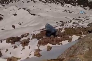 Mehmet&ccedil;ik Kato'yu ter&ouml;ristlere dar etti