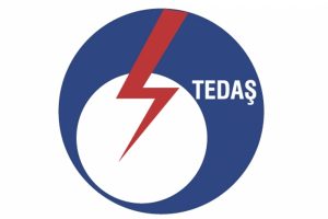 TEDAŞ ve TEMSAN &ouml;zelleştirme kapsamından &ccedil;ıkarıldı