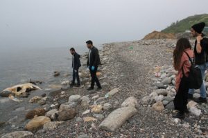 Zonguldak'ta sahile vuran inek g&ouml;renleri şaşırttı