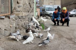 Otomobil fiyatına g&uuml;vercin