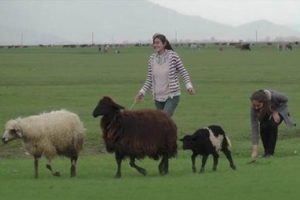 Bu k&ouml;yden iki TEOG birincisi &ccedil;ıktı