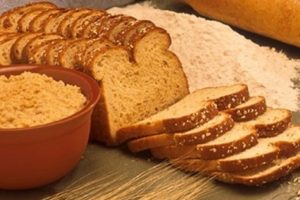 &Ccedil;&ouml;lyak hastalığı i&ccedil;in araştırma komisyonu kuruldu