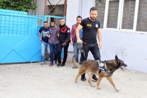 Narko-sokak operasyonu: 40 eve baskın