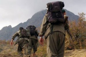 Şırnak'ta 5 PKK'lı teslim oldu