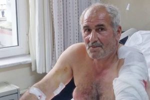 Ayı saldırısına uğrayan vatandaş yaralı kurtuldu