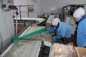 Bursa G&uuml;m&uuml;ş'&uuml; T&uuml;rkiye'de 1, AB'de 33 liraya alıcı buluyor