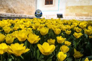 Bursa'da bug&uuml;n ve yarın hava durumu nasıl olacak? (11 Mayıs 2017 Perşembe)