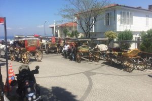 'La&ccedil;inliler Grubu' g&ouml;zaltına alındı