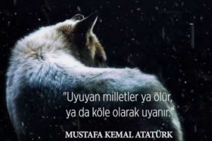 Dağ'ın ekibinden 6 b&ouml;l&uuml;ml&uuml;k dizi: B&ouml;r&uuml;