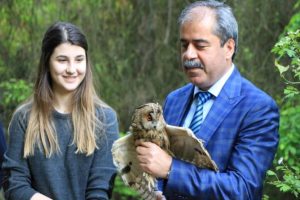 Veteriner d&ouml;vd&uuml;ren baykuş doğaya salındı