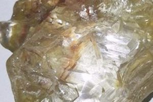 709 karatlık elmasa alıcı &ccedil;ıkmadı