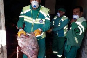 Gaziantep'te 3.5 ton at ve eşek eti ele ge&ccedil;irildi