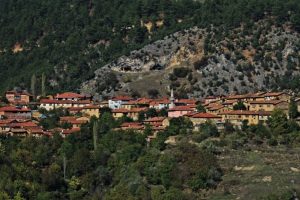 Bursa Gelemi&ccedil;'te doğa şenliği d&uuml;zenlenecek