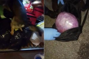 &Ouml;ğrencinin sırt &ccedil;antasından 2 kilo esrar &ccedil;ıktı!