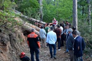 Karab&uuml;k'te devrilen ağacın altında kalan orman iş&ccedil;isi &ouml;ld&uuml;