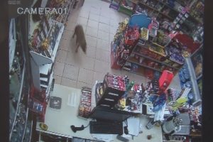 Bursa'da a&ccedil; kalan &ccedil;akal markete girdi