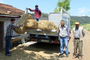 Saman fiyatları Bursalı besicileri zora soktu