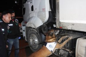Bursa'da 162 kilo eroinle yakalanan 2 kişinin yargılanmasına başlandı