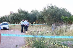 Zeytinlik alanda ceset bulundu