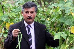 Organik fasulyeyi 35 liradan ihra&ccedil; ediyorlar