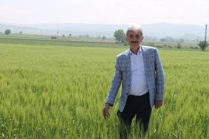 Bursa Yenişehir'de 400 bin dekar alan suya kavuşuyor