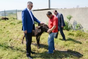 Bursa Karacabey Belediyesi sokak hayvanlarına sahip &ccedil;ıkıyor