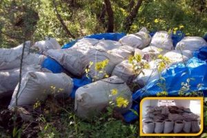 Diyarbakır'da 5 ton 174 kilo esrar ele ge&ccedil;irildi
