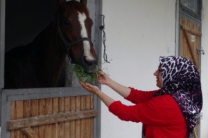 TJK kadın seyis yetiştiriyor! Maaşı ise...