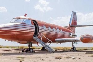 Elvis Presley'in park halindeki jeti, 1.5 milyon liraya satıldı