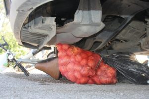 Ondan geriye patatesleri kaldı
