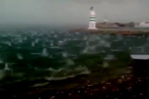 Ceviz b&uuml;y&uuml;kl&uuml;ğ&uuml;nde dolu yağdı
