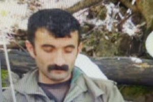 Tunceli'deki &ccedil;atışmada PKK'nın Ovacık &ouml;zel g&uuml;&ccedil; sorumlusu &ouml;ld&uuml;r&uuml;ld&uuml;