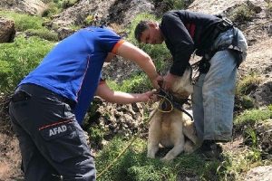 1 haftadır dağlık arazide mahsur kalan Pulsar kurtarıldı