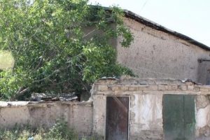 İki kardeş annelerinin cesediyle 15 g&uuml;n yaşadı
