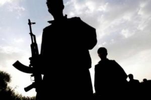 Hakkari'de aranan PKK'lı yakalandı