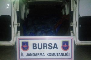 Bursa'da jandarmadan ka&ccedil;ak midye operasyonu