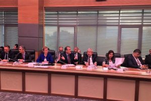 CHP Bursa Milletvekili İrgil'den zeytinlik alan tepkisi