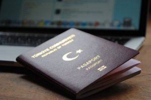 3 ay i&ccedil;inde d&ouml;nmeyen vatandaşlıktan &ccedil;ıkarılacak