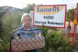 Belediyeden kedi k&ouml;pek &ouml;l&uuml;mleri iddiasına karşı su&ccedil;lama