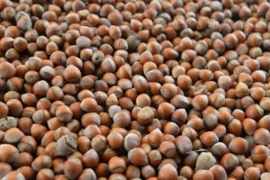 T&uuml;rkiye 9 ayda 189 bin ton fındık ihra&ccedil; etti