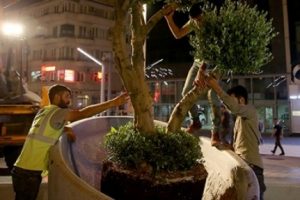 Taksim Meydanı ağa&ccedil;landırılıyor